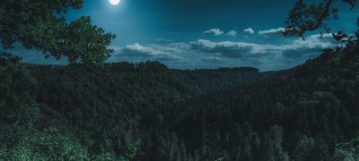 香蕉动漫悬疑推理番推荐封面，黑暗神秘氛围中侦探角色的剪影